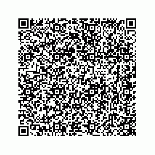 vCard 78415440221
