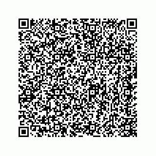 vCard 78415440311