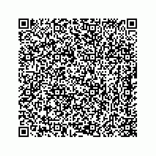 vCard 78415440313