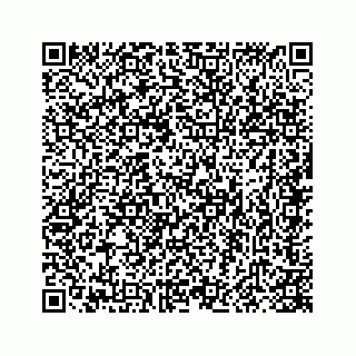 vCard 78415440381