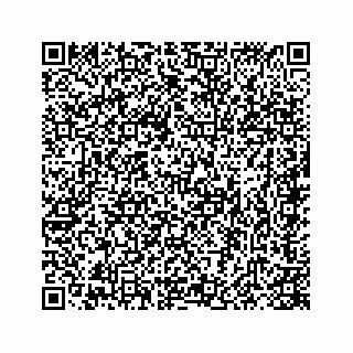 vCard 78415440382