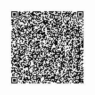 vCard 78415440387