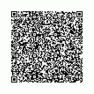 vCard 78415453089