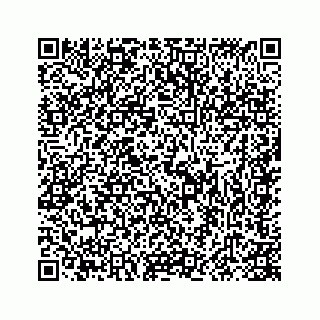 vCard 78415453389