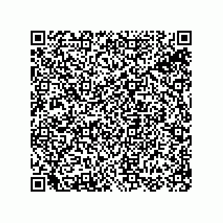 vCard 78415633231