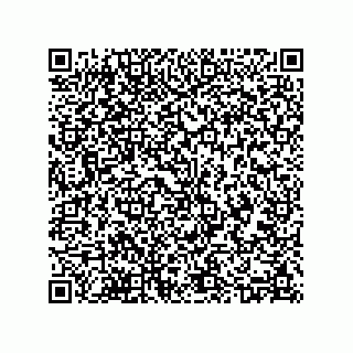 vCard 78415929313