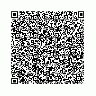 vCard 78416338110