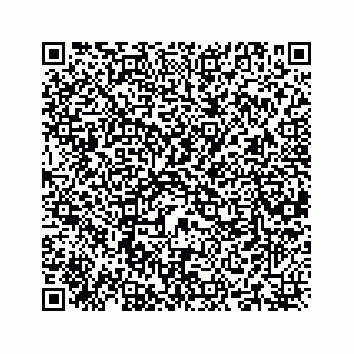 vCard 78416338113