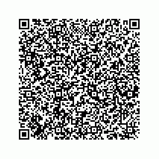vCard 78416338155