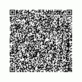 vCard 78416820063