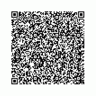 vCard 78416820288