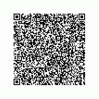 vCard 78422200163