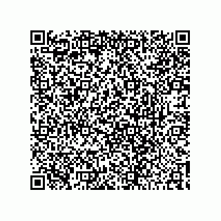 vCard 78422200173