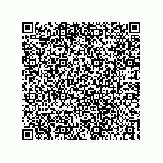 vCard 78422200387