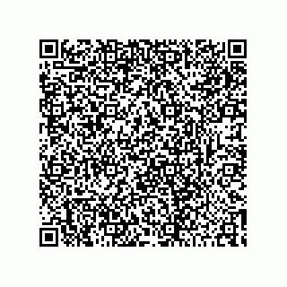 vCard 78422248313