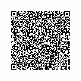 vCard 78422491380