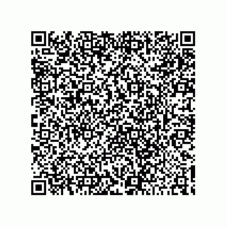 vCard 78422491381