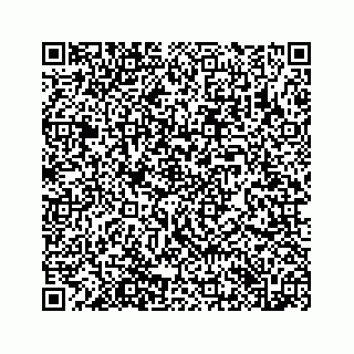 vCard 78423074100