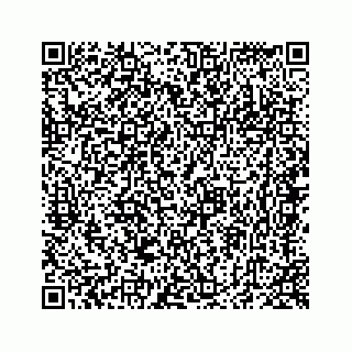 vCard 78423138101