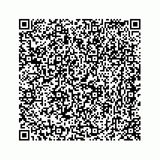 vCard 78423158111