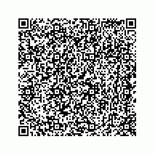 vCard 78423158131