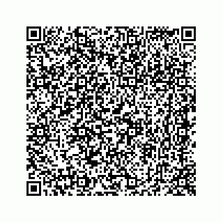 vCard 78423158132