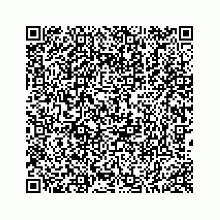 vCard 78423257384