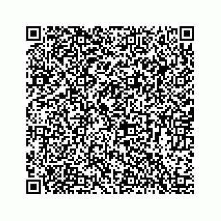 vCard 78423329100