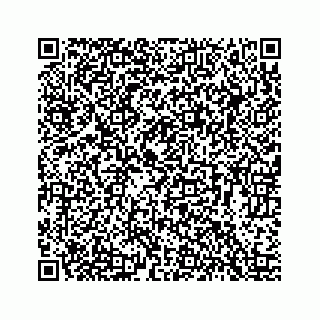vCard 78423329133