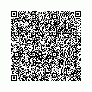 vCard 78423329155