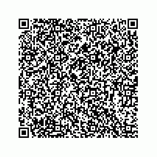 vCard 78423329203