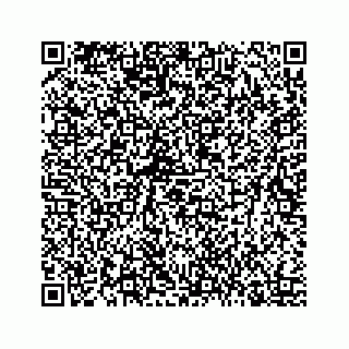 vCard 78423438300