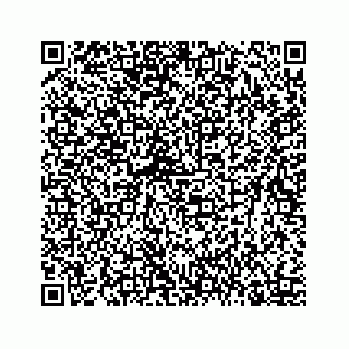 vCard 78423438316