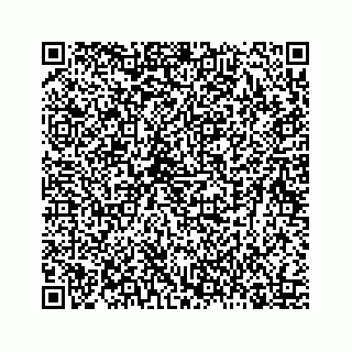 vCard 78423447279