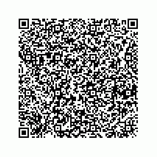vCard 78423530031