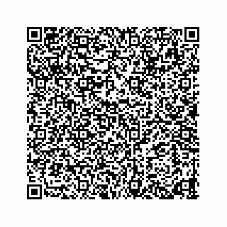 vCard 78423530040