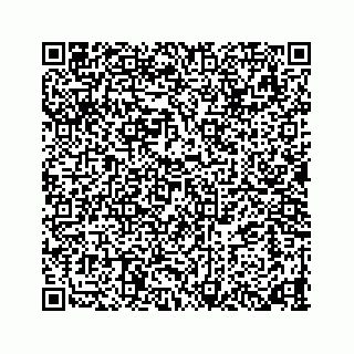 vCard 78423530080