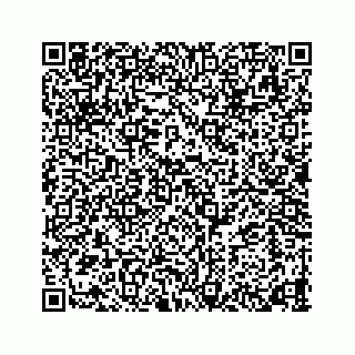 vCard 78423530380