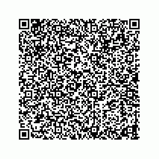 vCard 78423530381