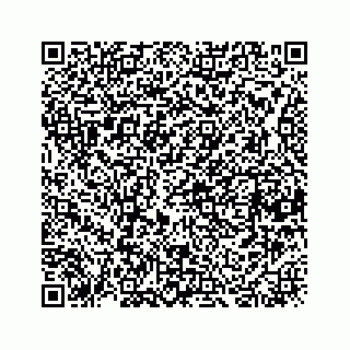 vCard 78423530389