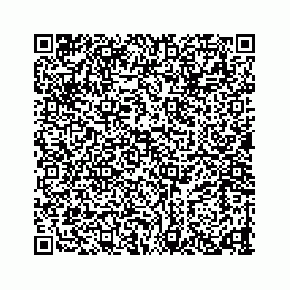 vCard 78423531313