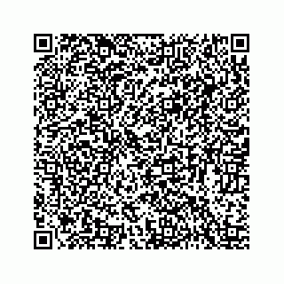 vCard 78423735100