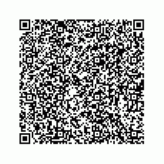 vCard 78423735199