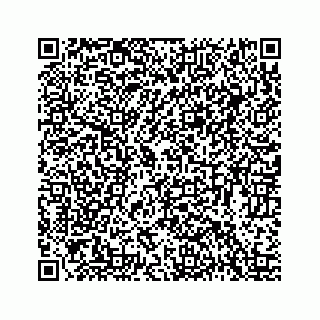 vCard 78423735221