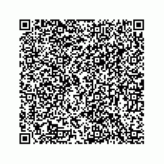 vCard 78423735279