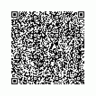 vCard 78423735281