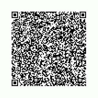 vCard 78423735287