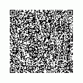 vCard 78423735295
