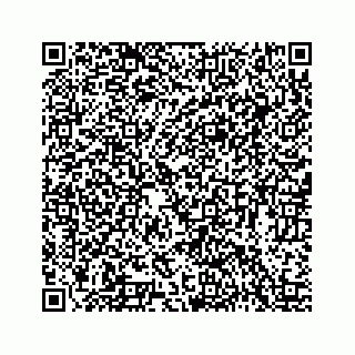 vCard 78423735313