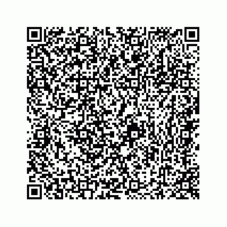 vCard 78423735380